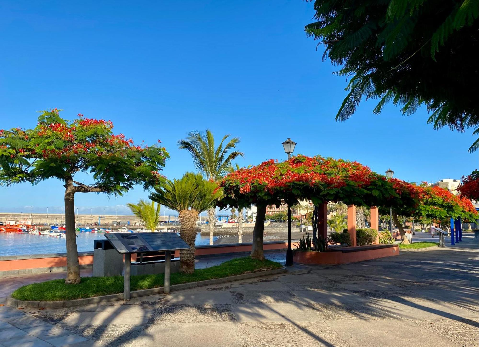Casa Antonio - Apartamento Luna Playa de San Juan  Exterior foto